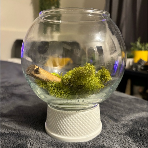 Cute as can be… - Picture 4 of 5